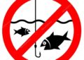 запрет рыбалки 2022 рк