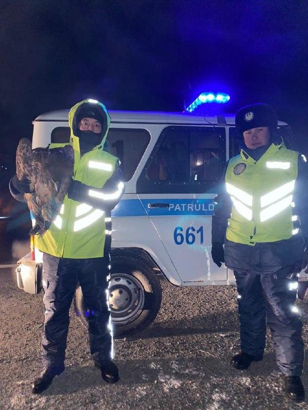Краснокнижную птицу спасли павлодарские полицейские