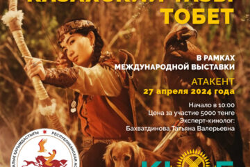 Племенной смотр собак национальных пород "Казахская Тазы и Тобет"